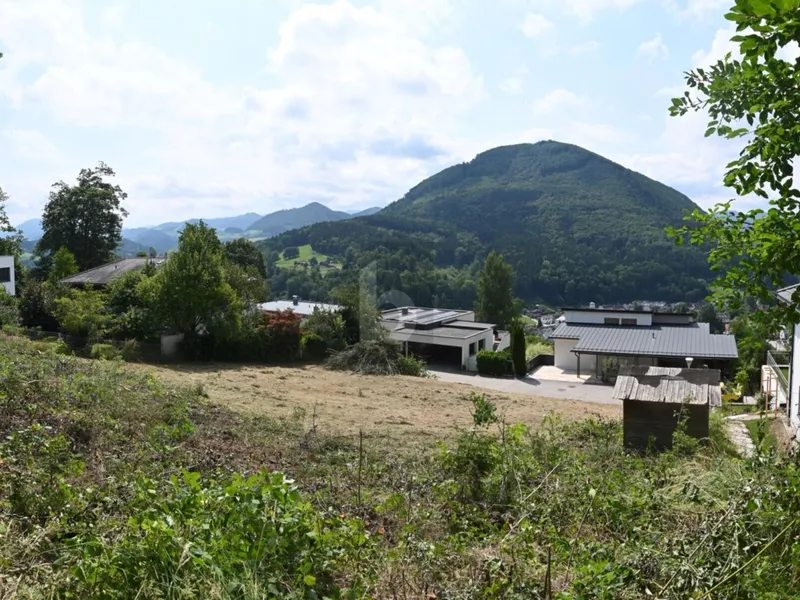 EXKLUSIVER SÜDHANG-BAUGRUND IN ABSOLUTER RUHELAGE 