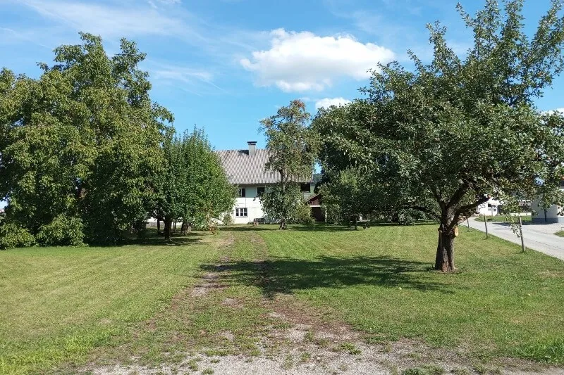 STEINDORF BEI STRASSWALCHEN: Obstgarten 1, 635 m² für Ihr neues Zuhause!