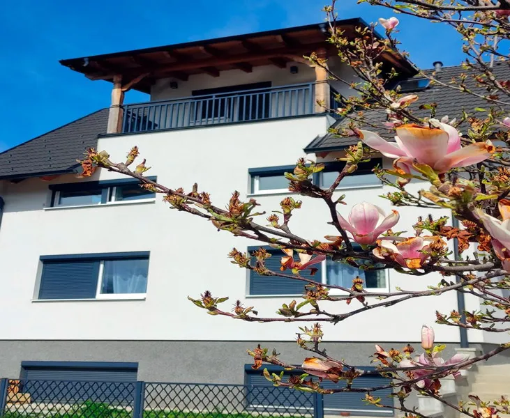 Beeindruckende 3 Wohneinheiten mit Terrasse und Garten
