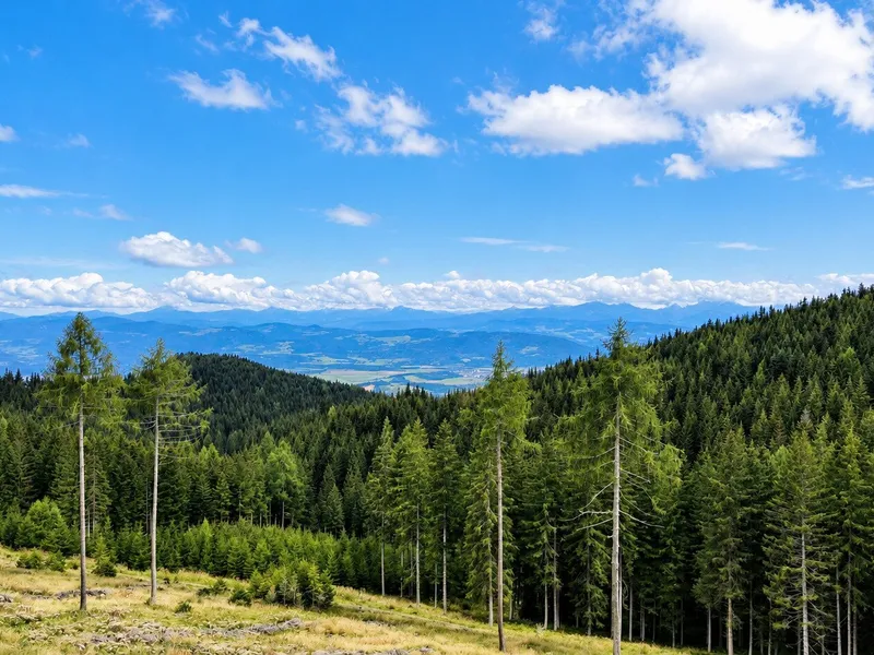 Naturidylle auf der Saualpe – gemütliches Zuhause mit Bergblick