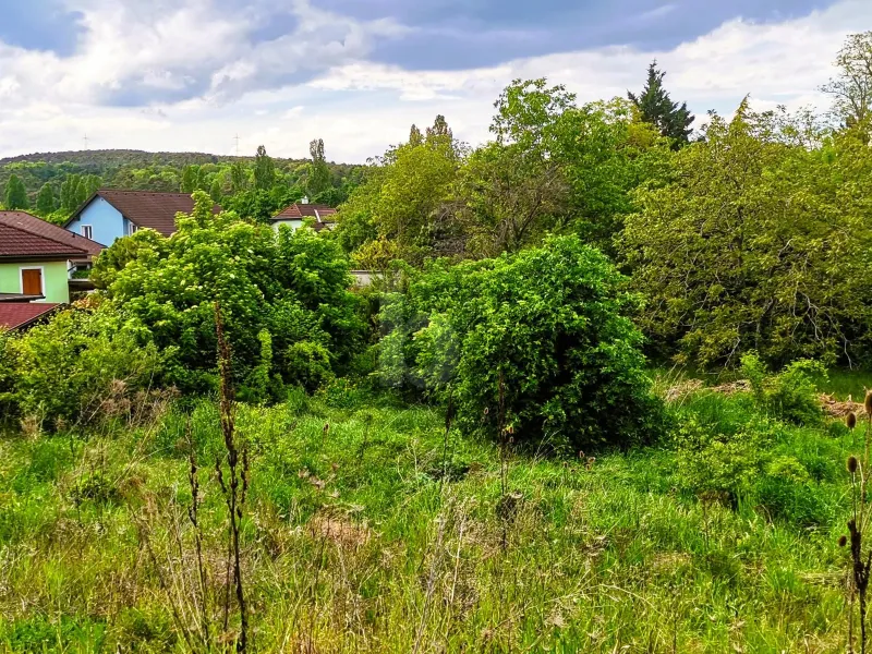 WEITBLICK INS GRÜNE - VON VILLA BIS ZWEI DOPPELHÄUSER MÖGLICH