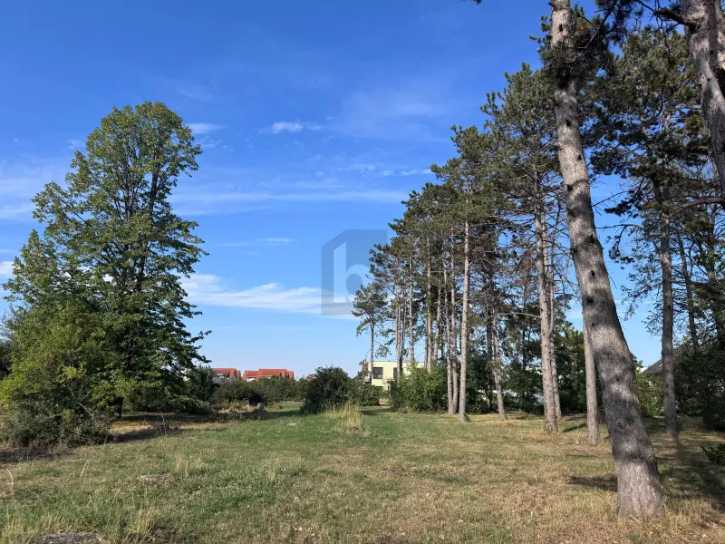 WOHNEN MIT FREIRAUM ? IN ATTRAKTIVER LAGE