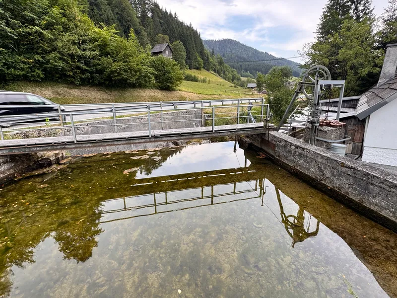 Sehr gepflegte Schmiede mit eigenem Wasserkraftwerk auf 1.096 Quadratmetern Grund in Göstling an der Ybbs