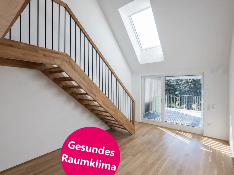 TIMBERLAA: Harmonie von Nachhaltigkeit und Komfort in Wiens Natur