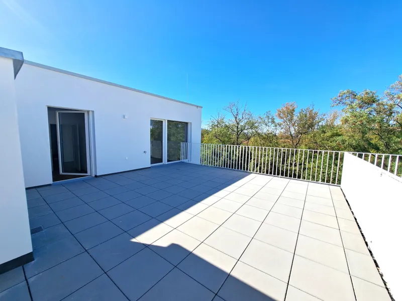 Attraktive Vorsorgewohnung mit Terrasse in Stammersdorfer Ruhelage