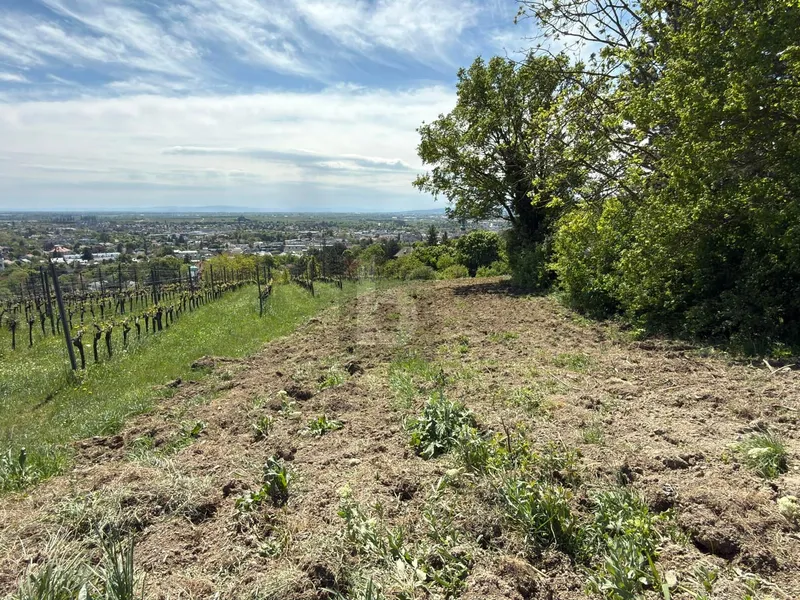 FÜR LANGFRISTIGE ANLEGER IN ORTSRAND-RUHELAGE MIT TOP PANORAMA