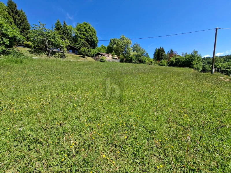 Preisreduktion! UNVERBAUBARER RÜCKZUGSORT MIT ATEMBERAUBENDEM PANORAMA