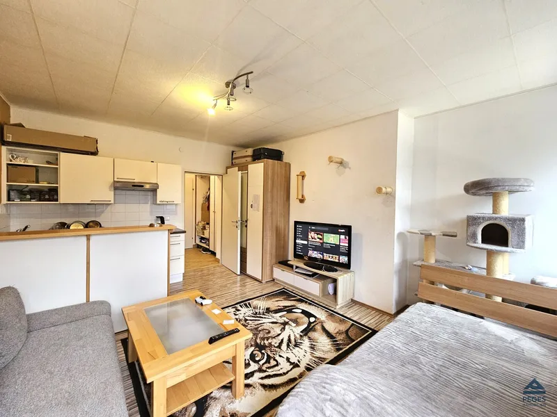 SINGLE: Garconniere in Grödig