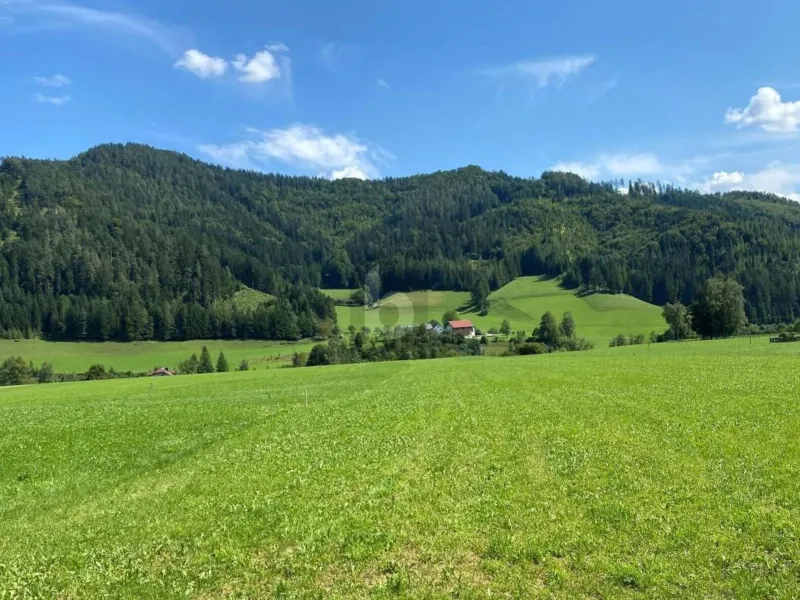 BAUGRUND MIT BESTEN VORAUSSETZUNGEN ? EBEN, SONNIG & VOLL AUFGESCHLOSSEN