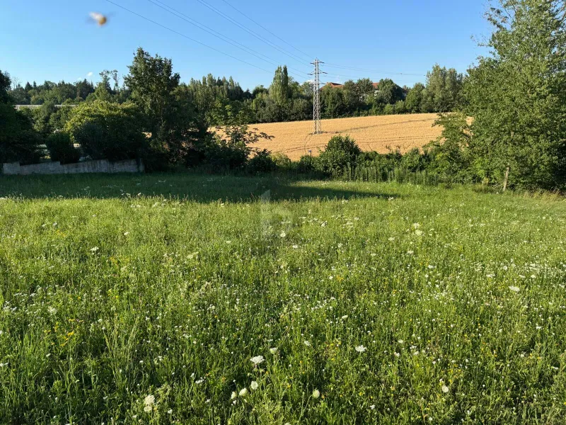 Preisreduktion! TRAUMHAFTES BAUGRUNDSTÜCK MIT BAUBEWILLIGUNG UND EINREICHPLAN