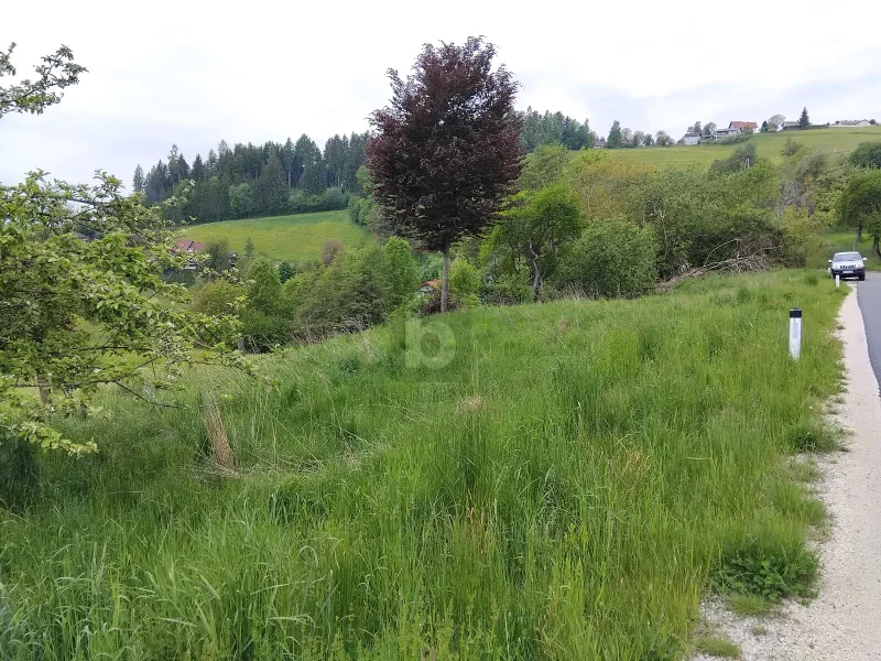 WER RUHE SUCHT WIRD HIER FÜNDIG