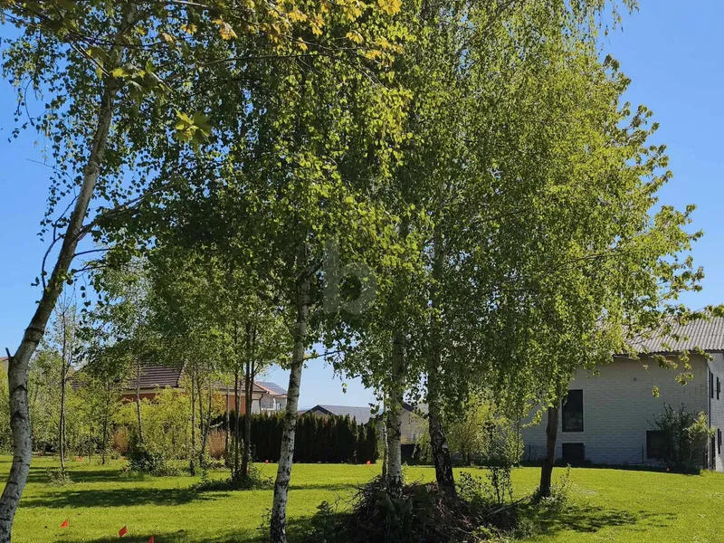 RARITÄT IN ASCHBACH 1.227 M² BAUGRUND, VOLL AUFGESCHLOSSEN OHNE BAUZWANG